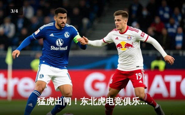 猛虎出闸！东北虎电竞俱乐部上演让二追三奇迹，斩获《巅峰对决》全球邀请赛冠军 - 3