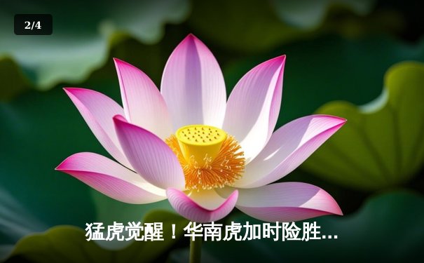 猛虎觉醒！华南虎加时险胜东北虎，CBA虎年德比上演史诗级对决 - 2